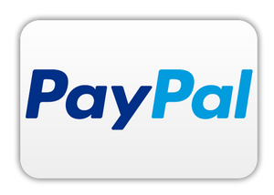 Payment Icon
